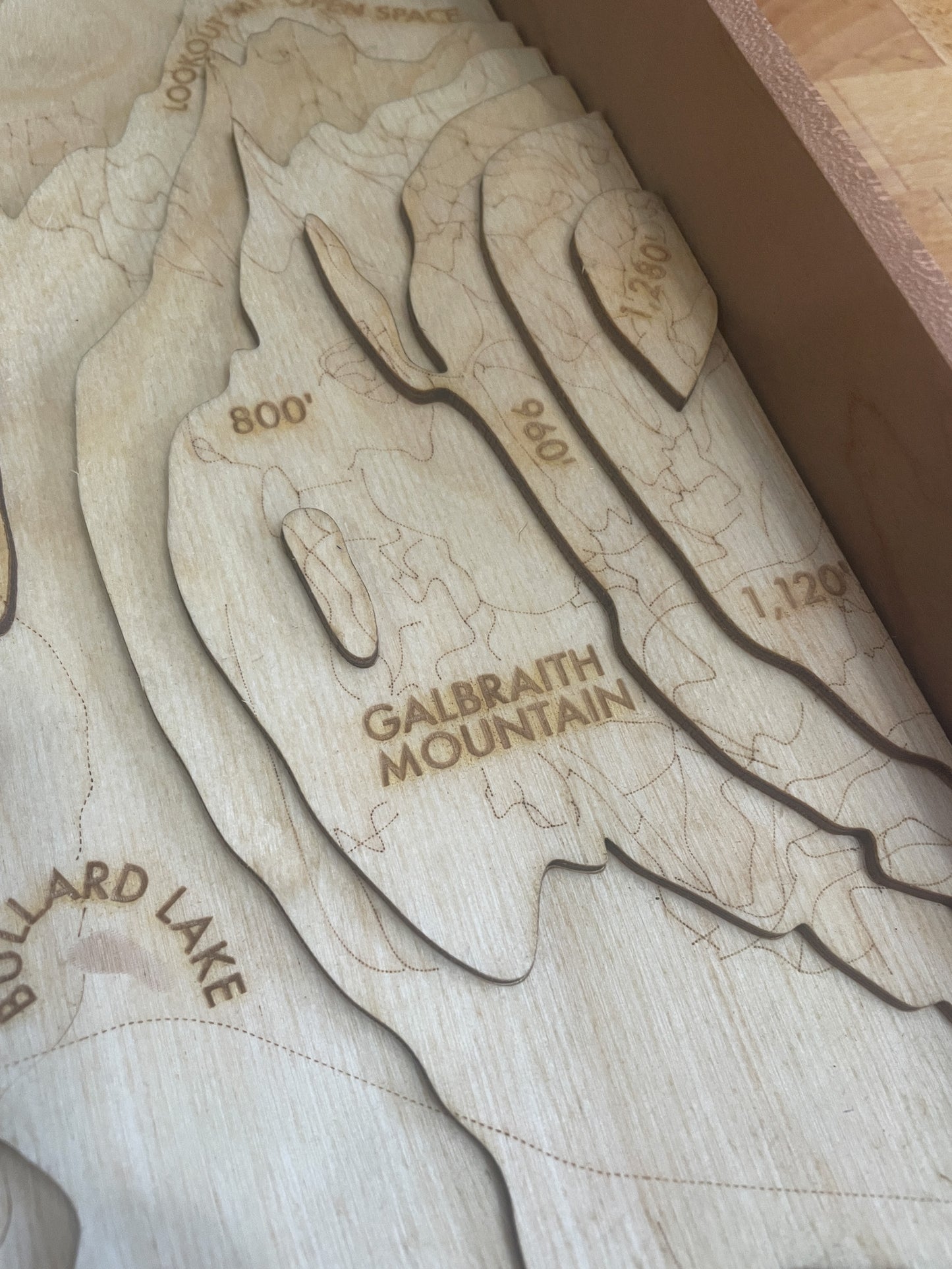 Bellingham Topographic Map