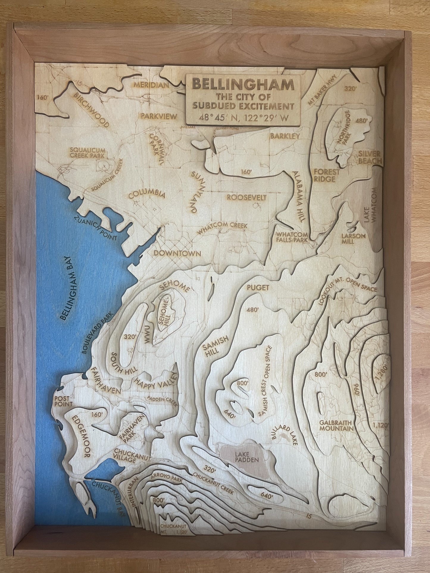Bellingham Topographic Map