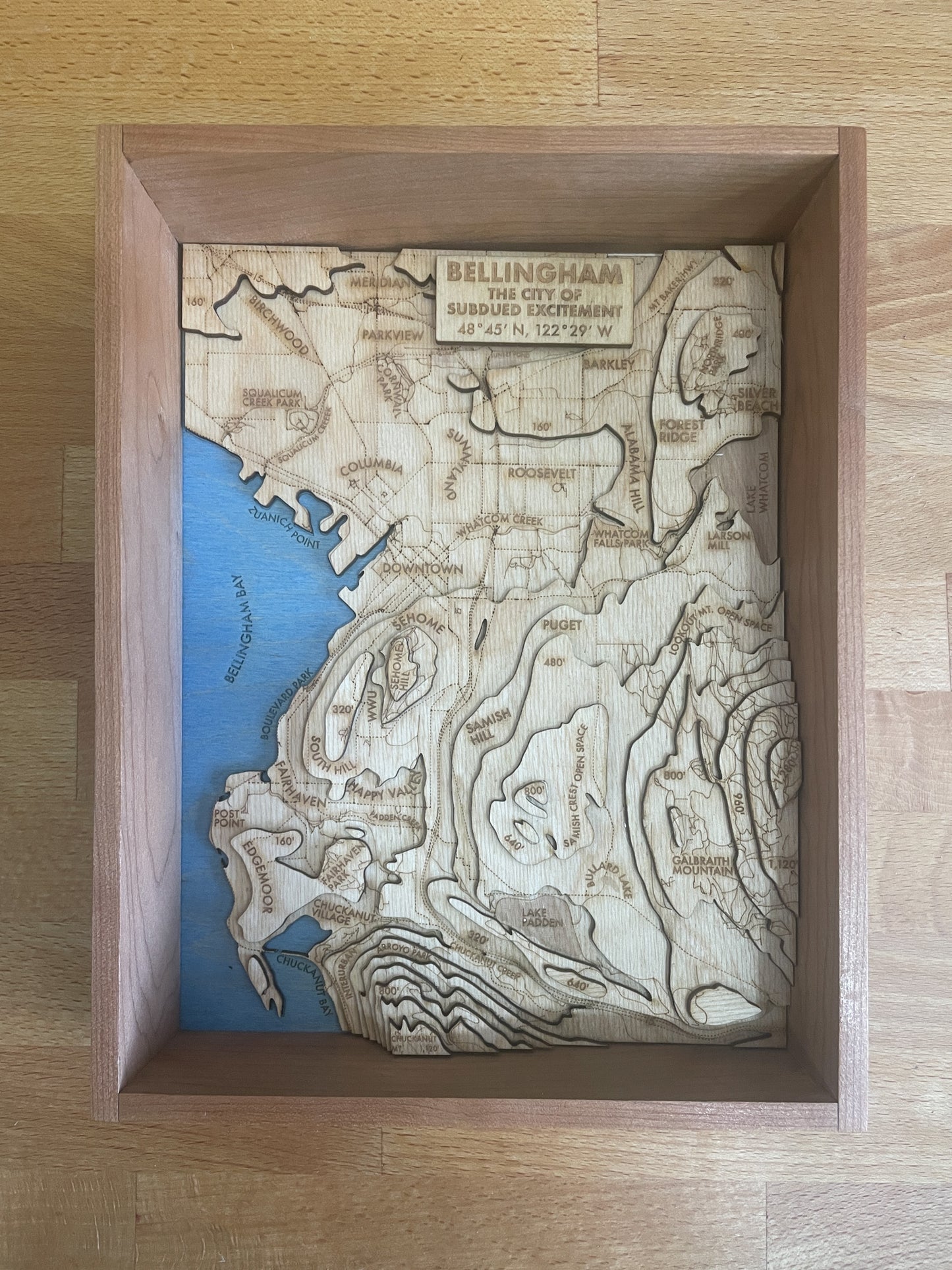 Bellingham Topographic Map