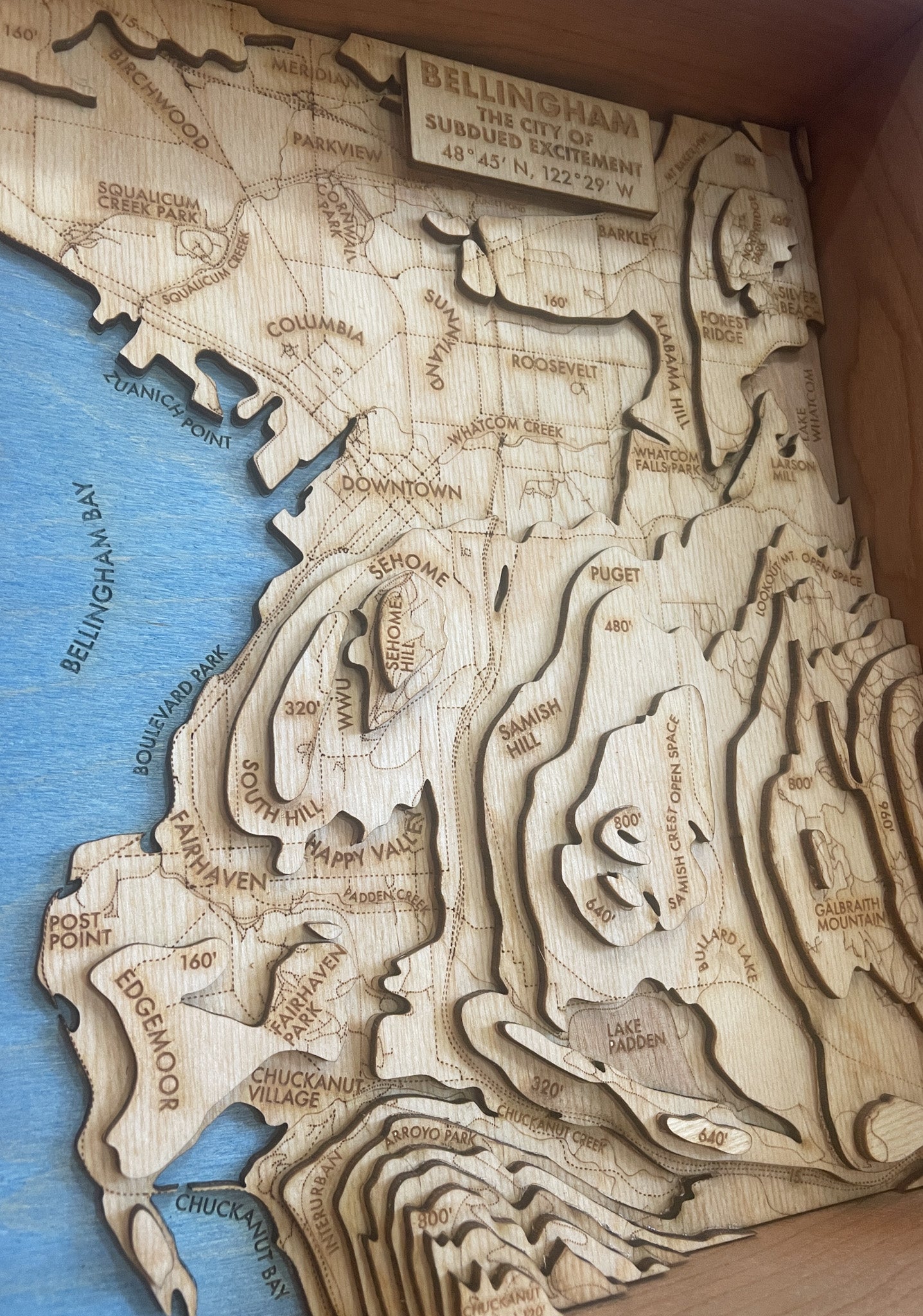 Bellingham Topographic Map