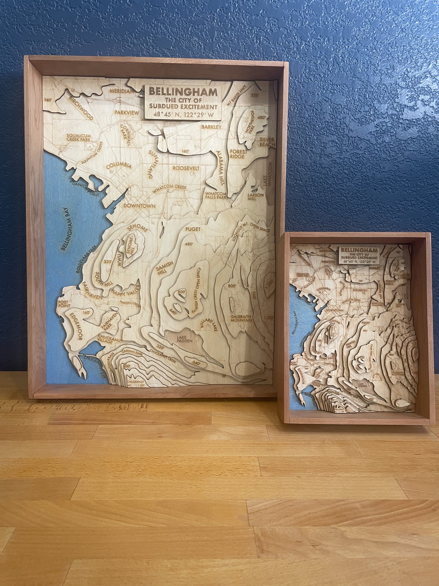 Bellingham Topographic Map
