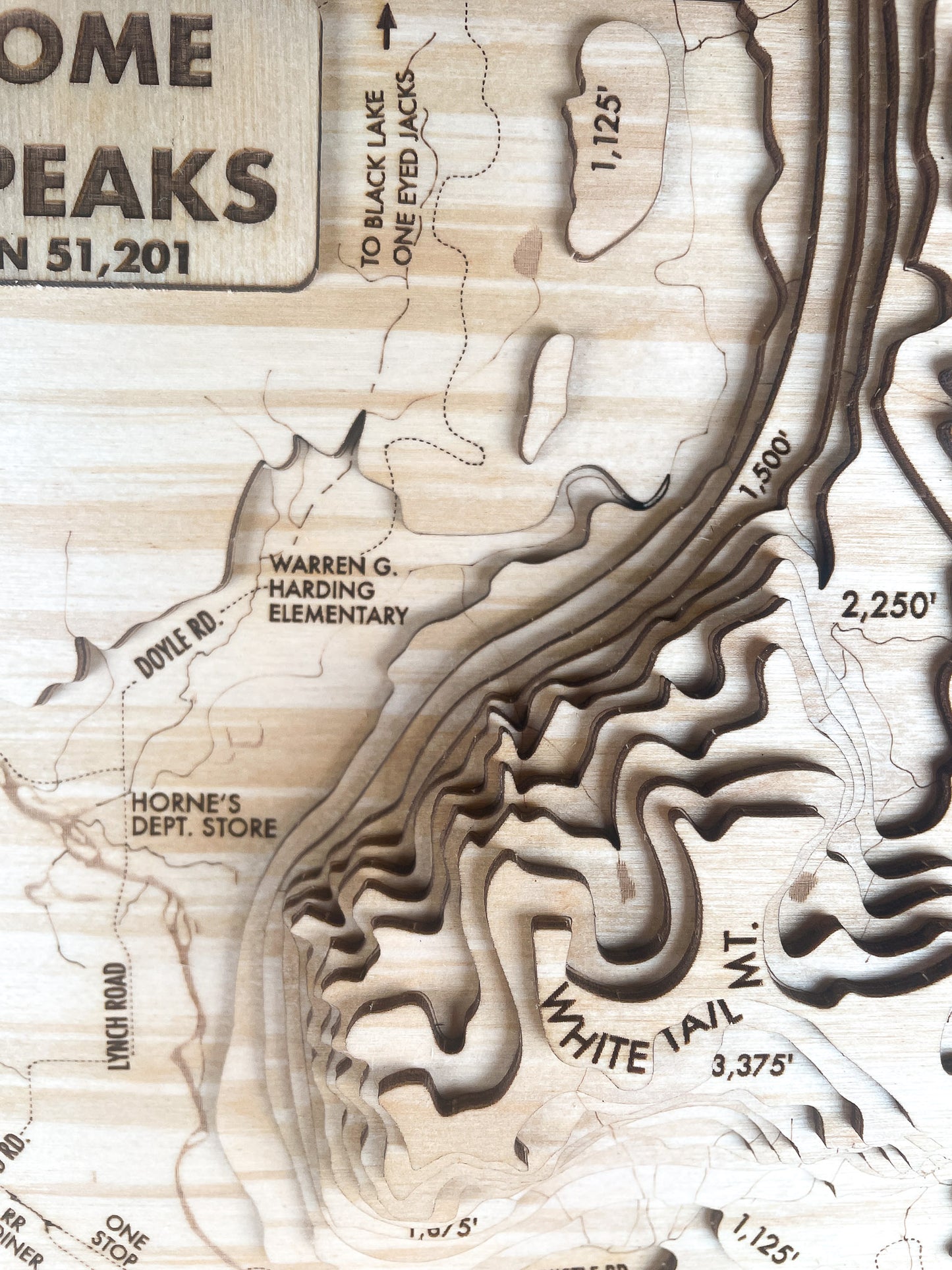 Twin Peaks Topographic Map