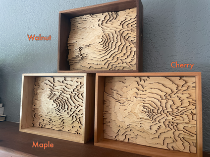 Mt. Rainier Topographic Map