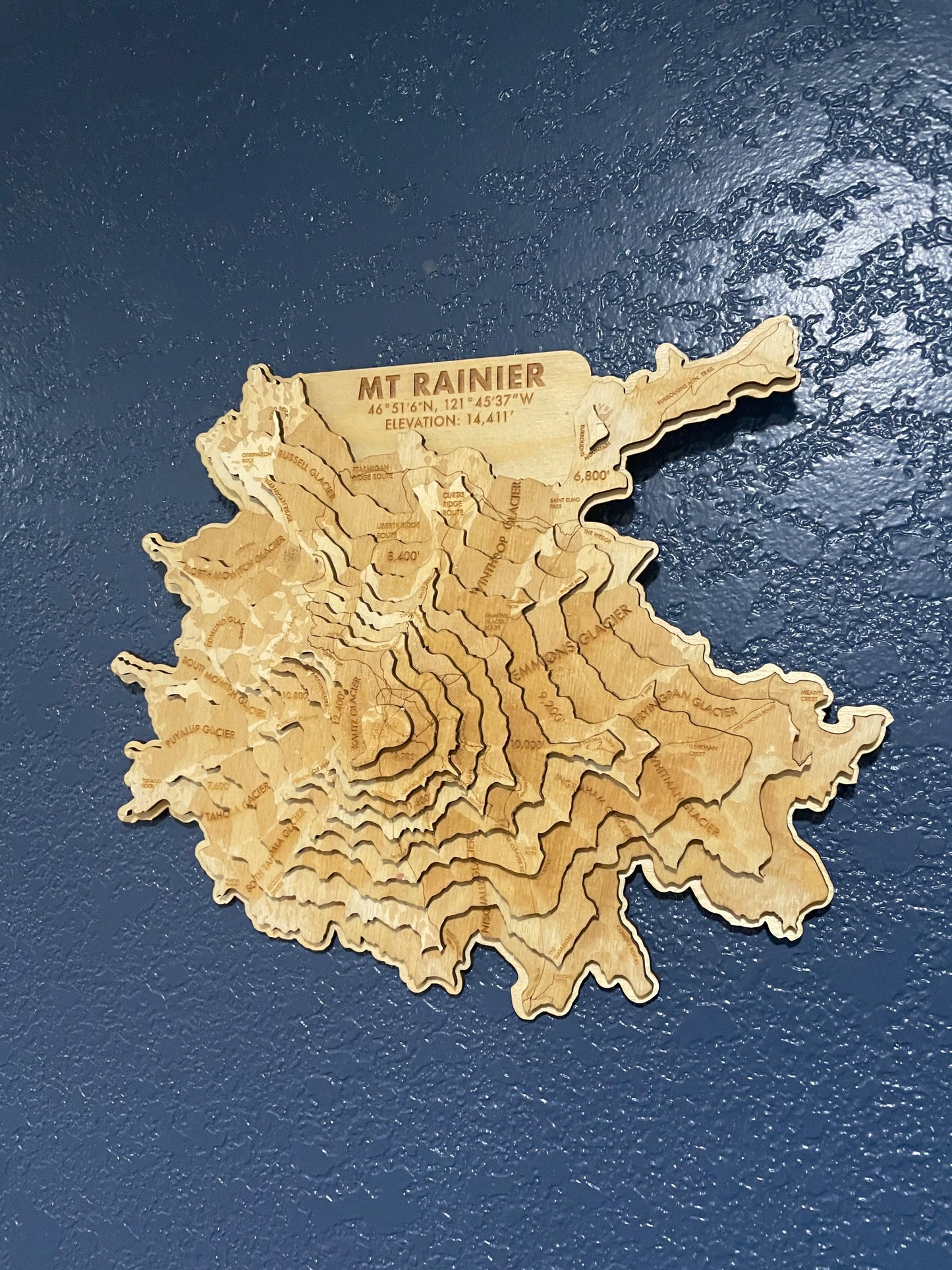 Mt. Rainier Topographic Map