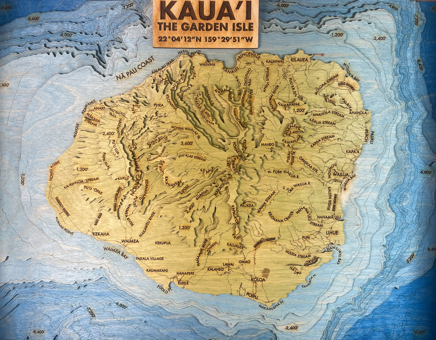 Kauai Topographic Map