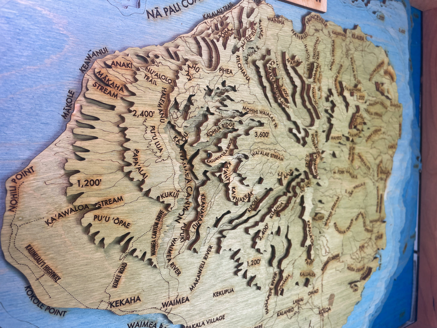 Kauai Topographic Map