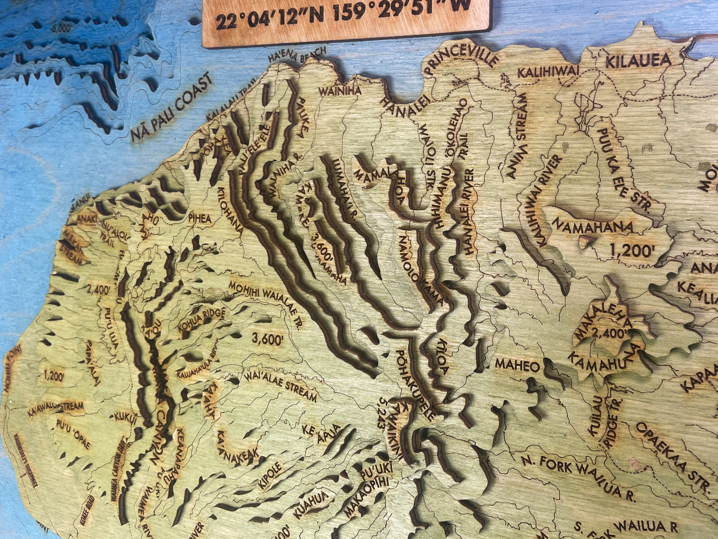 Kauai Topographic Map