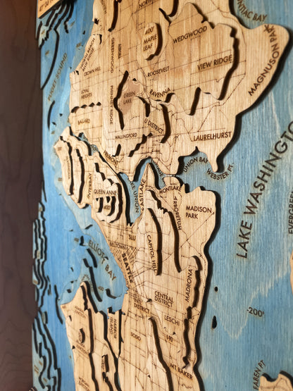 20x15 seattle map detail