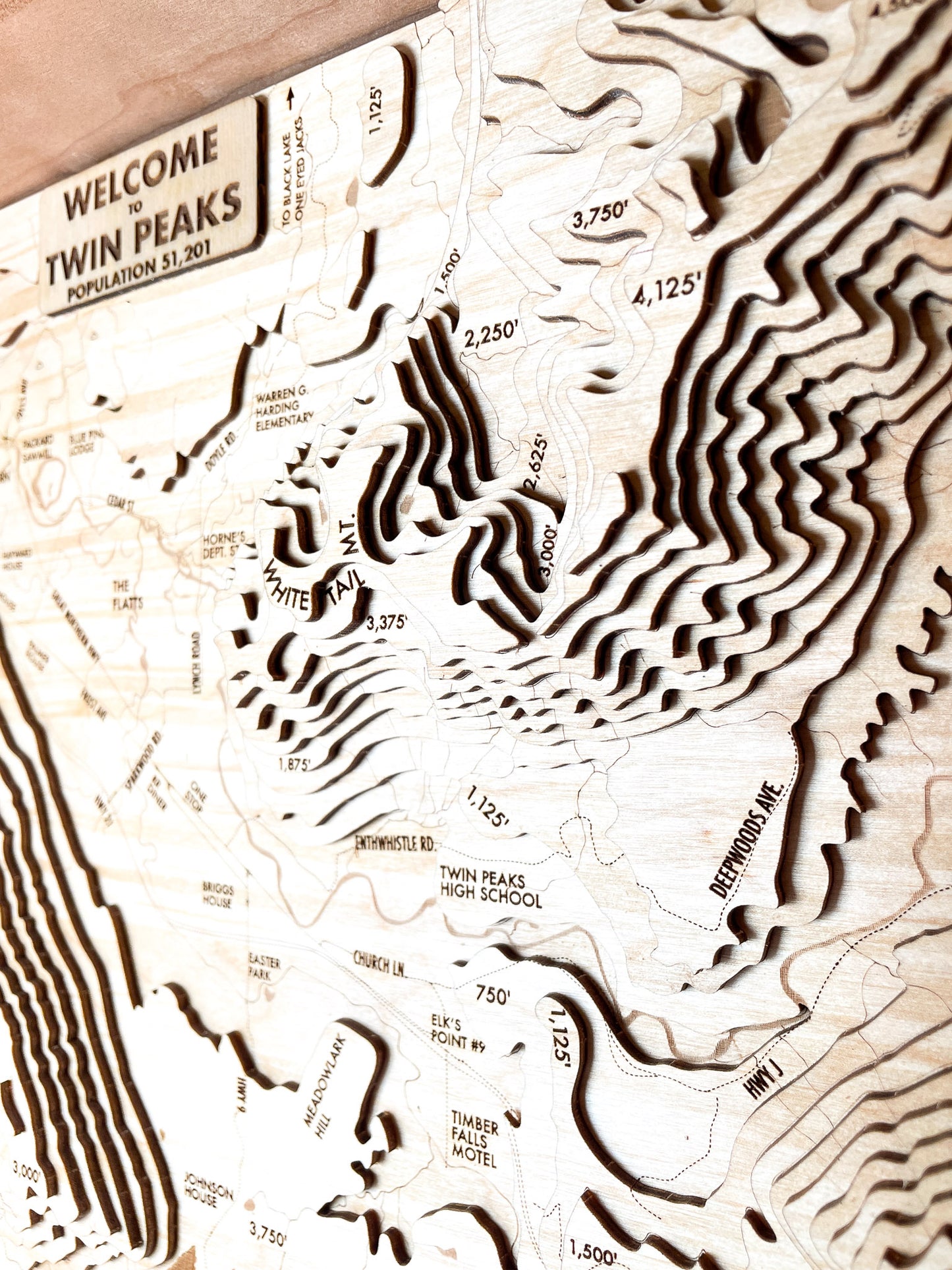 Twin Peaks Topographic Map